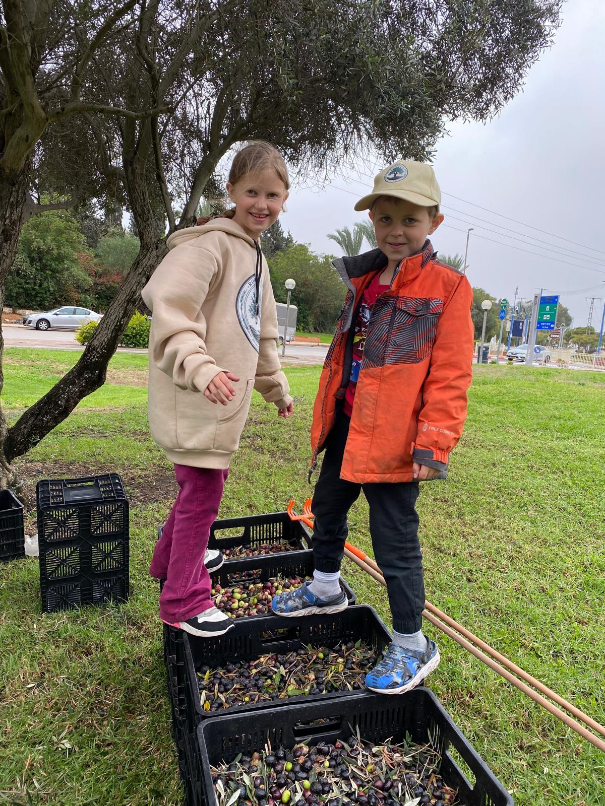 Root & Branch Volunteers