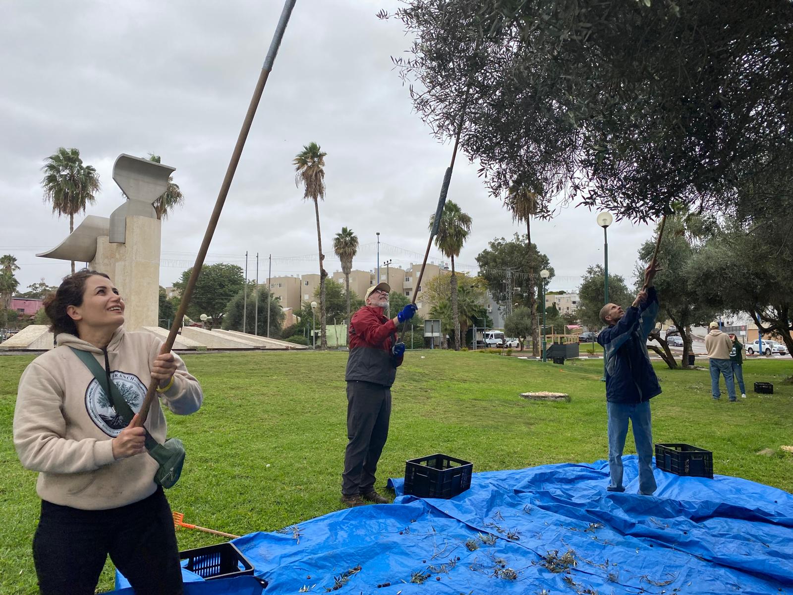 Root & Branch Volunteers
