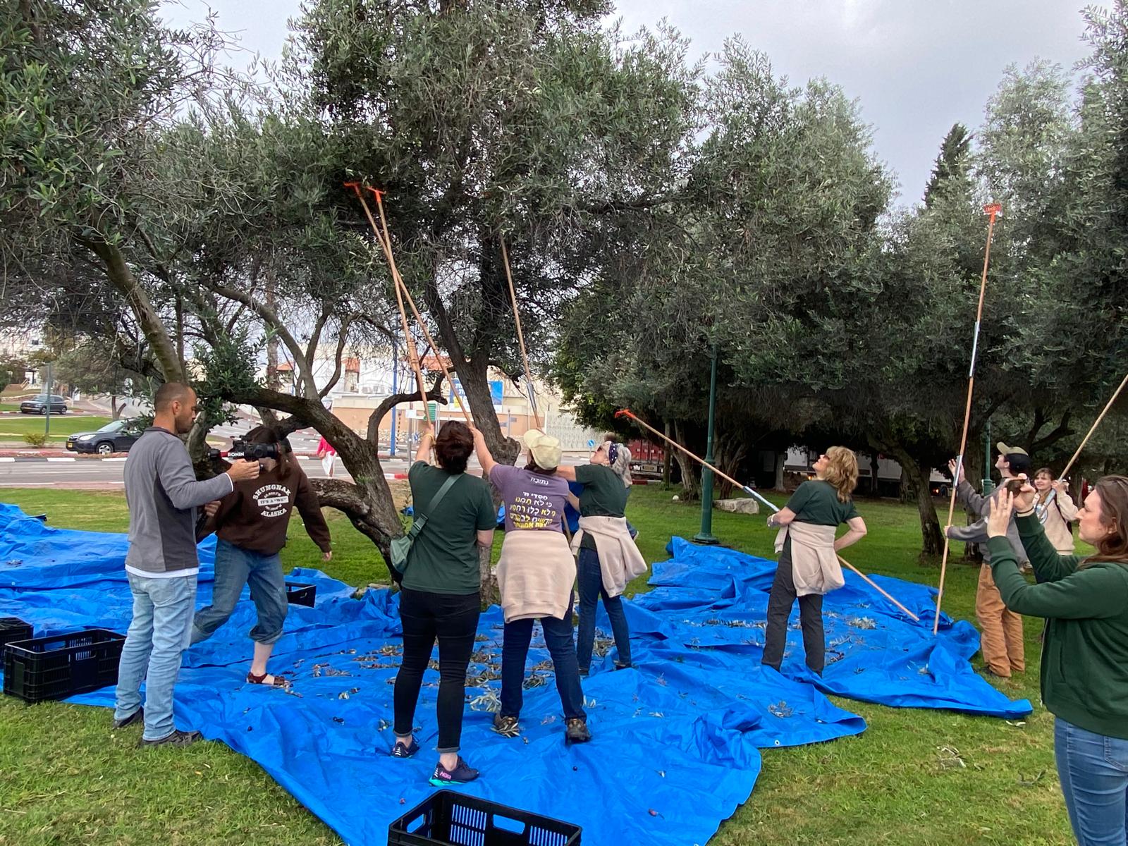 Root & Branch Volunteers