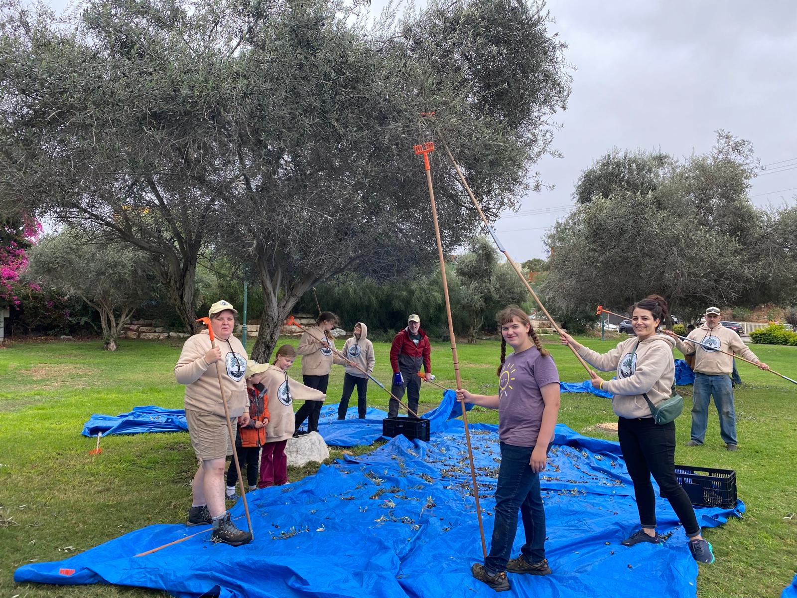 Root & Branch Volunteers