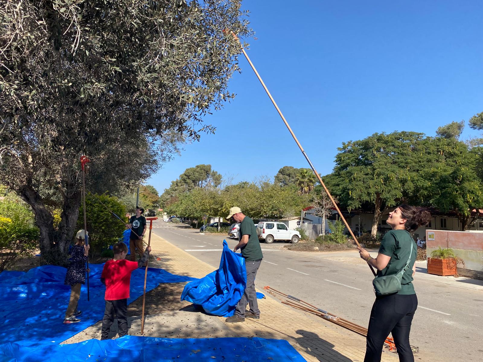 Root & Branch Volunteers